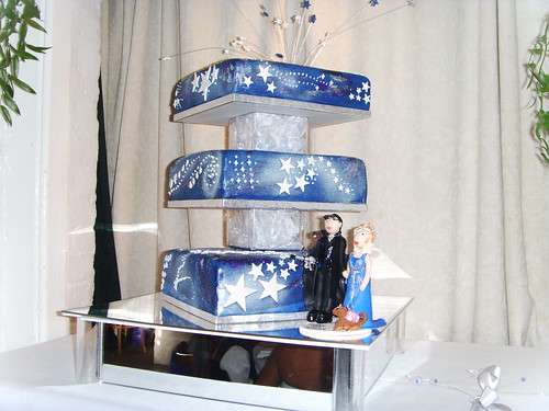 Kay 39s cake was PERFECT for their silver blue and SciFi themed wedding