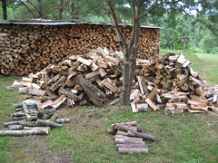 Split wood ready for stacking