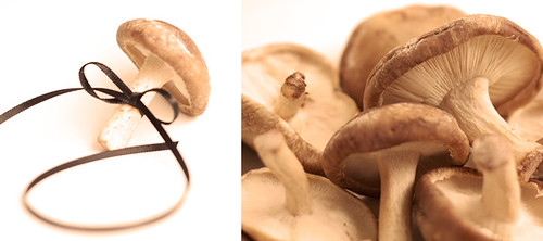 Mushroom Dippy