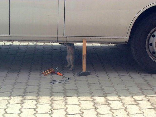 Cat Mechanic