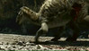iguanodontid