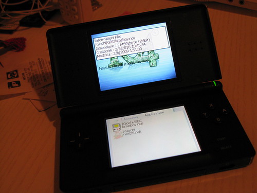 i due emulatori sulla Nintendo DS