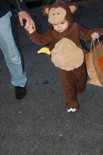 Oct2010 monkey costume