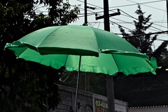 Eco umbrella - by Pulpolux !!!