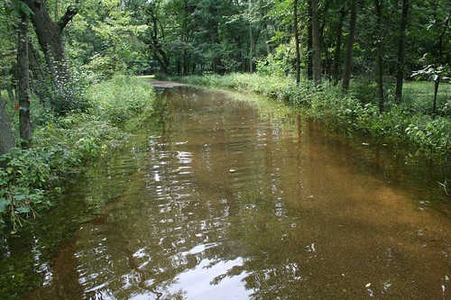 Sugar River Forest Preserve Flooding