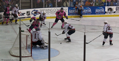 Plymouth Whalers Pink Out-5