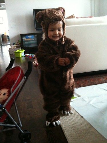 Laila looking beary cute