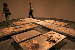 documenta 12 | Sheela Gowda / Collateral | 2007 | Neue Galerie