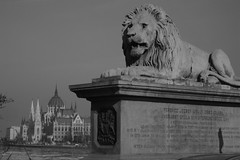Budapest Lion (Parliament)