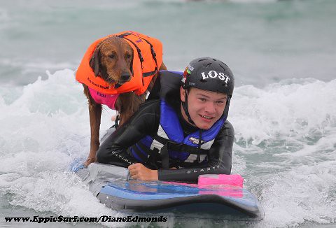 ricochet surf dog