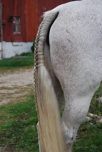 diamond braided tail