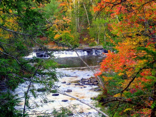 Fall colors at Wilson Stream..a cascade