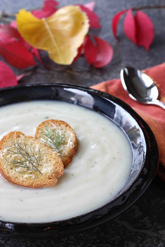 Fennel soup recipes