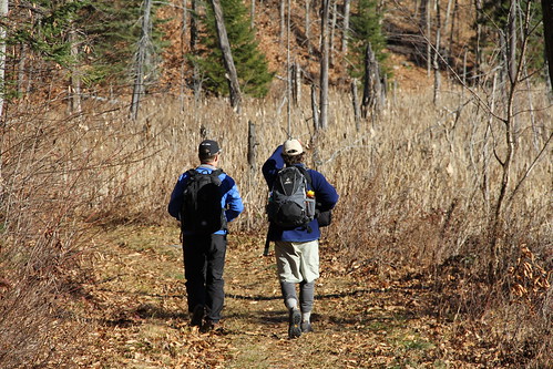Remembrance day hike in the GAT
