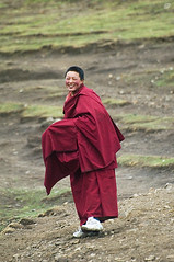 a laughing buddhist nun