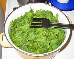 Enormous pot of spinach
