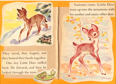 Little Deer Notebook 2