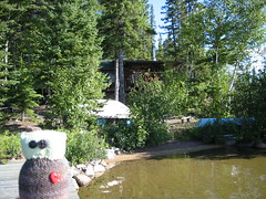 Cabin from Swimming Dock