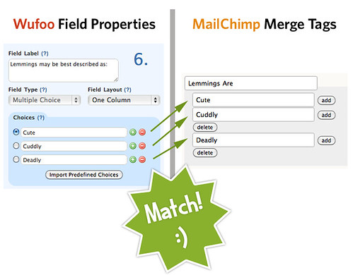 Successful MailChimp Wufoo Field Matching