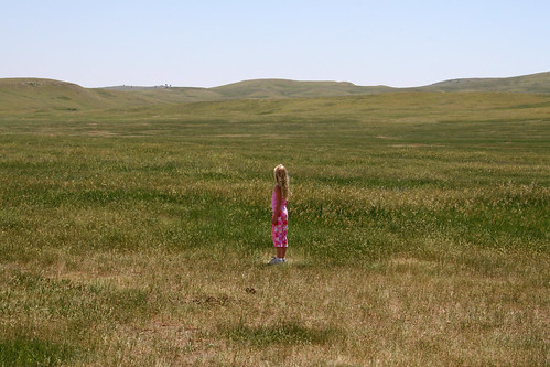 Little girl on the prairie