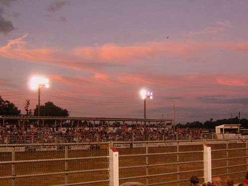 All's Quiet at the Rodeo