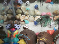 Ft Walton Shop hermit crabs by Infrogmation, on Flickr