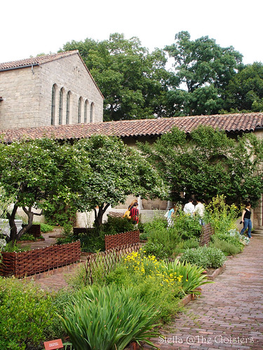 in the Garden of the Cloisters