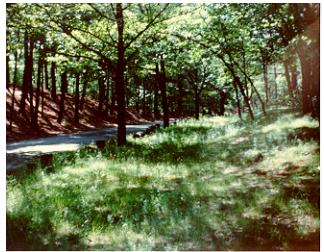 Horn Pond, Woburn, about 1985