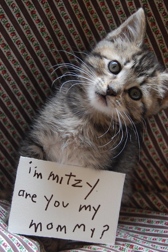 message from mitzy