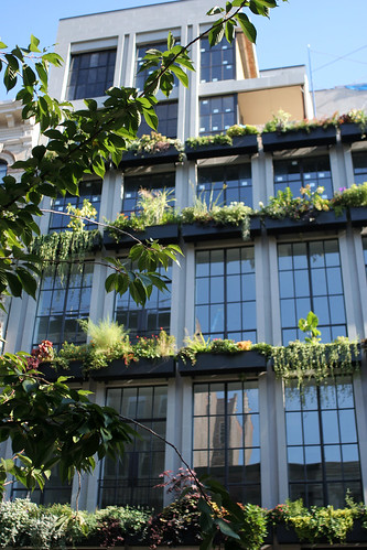 The Flowerbox Building