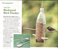 Homemade bird feeder