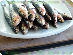 würzig marinierte sardinen