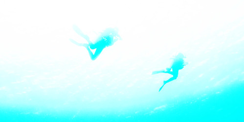 Diving Cozumel 01