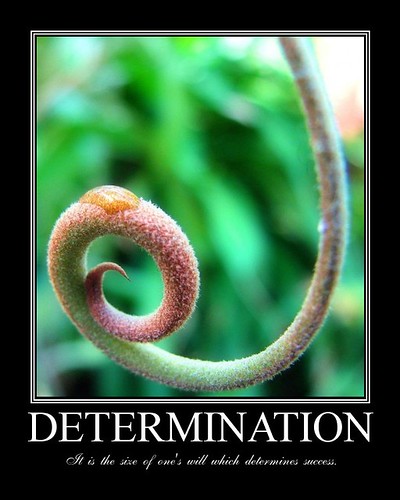 Motivational Poster - Determination, demotivational posters, funny motivational posters