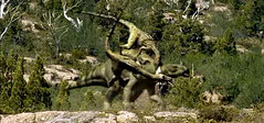 utahraptors chasing an iguanodon