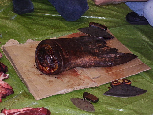 Eskimo Food- Fermented Walrus Flipper