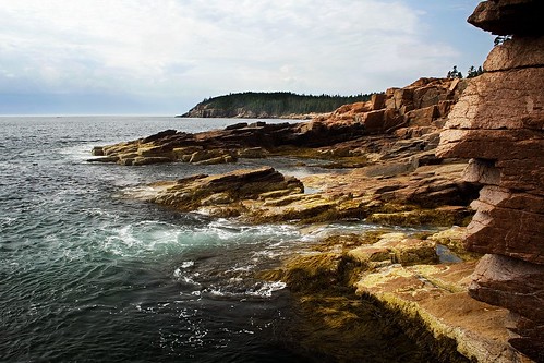 The Rugged Coast of Acadia