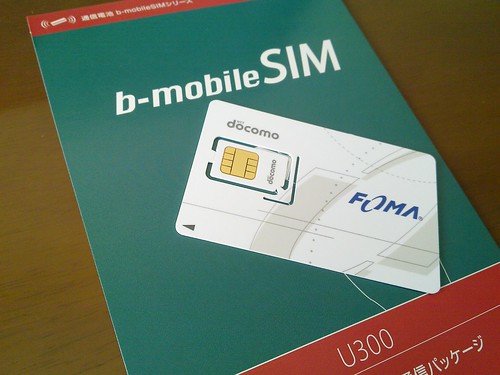 b-mobileSIM U300 2枚目