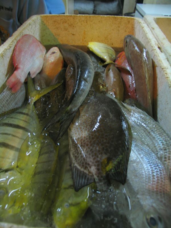 Fresh fish at Jimbaran (we chose the snapper on the left)