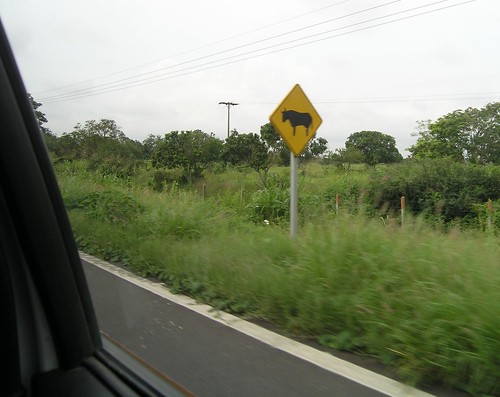 Mexican road sign: so African!!