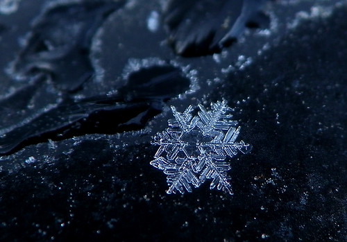 フリー写真素材|テクスチャ・背景|水・氷|雪|