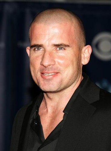 dominic_purcell