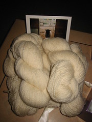 gift wool