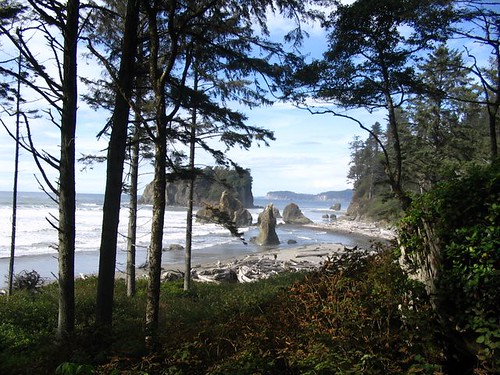 Crescent Beach in Olympic National Park