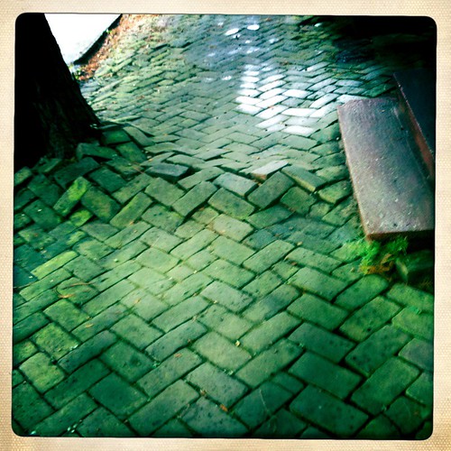 mossy cobblestones