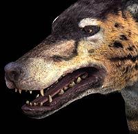 andrewsarchus face
