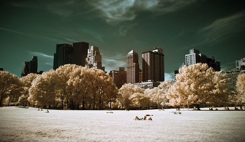 The Central Park in Infrared