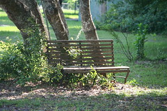 Seating on a Park Bench
