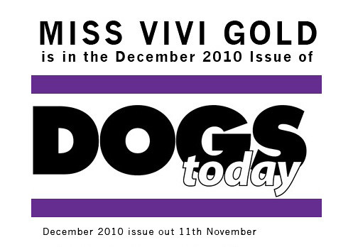 Announcement: ViVi Is In The Christmas Issue of Dogs Today UK