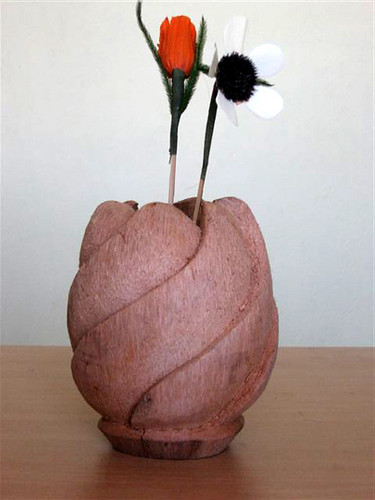 Coconut Husk Flower Vase Collections